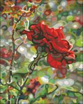 (image for) Last Rose